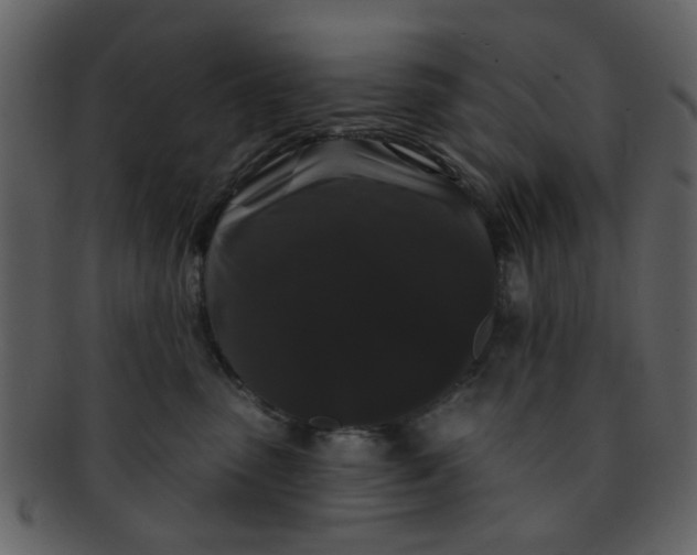 X0000093140475200710171333