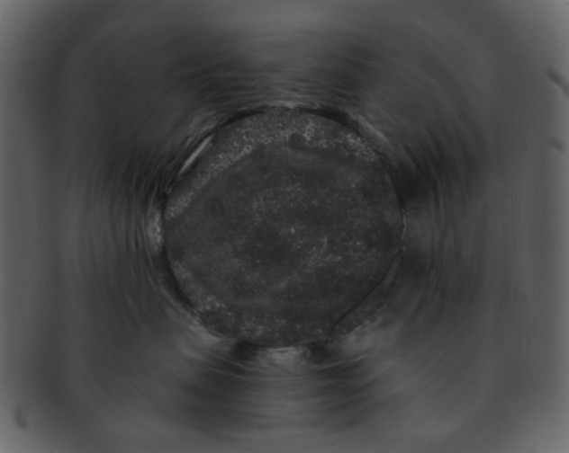 X0000093140479200710171333