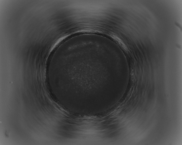 X0000093140484200710171332