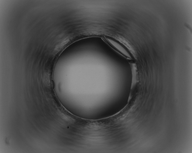 X0000093140489200710171332