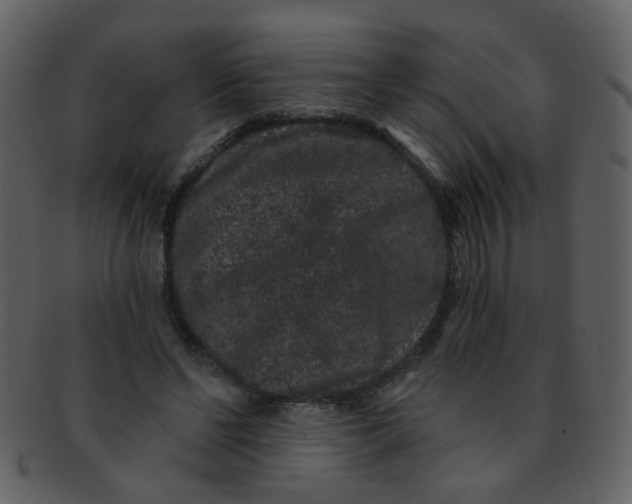 X0000093140494200710171332