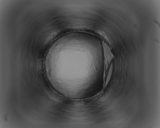 X0000093140495200710171332