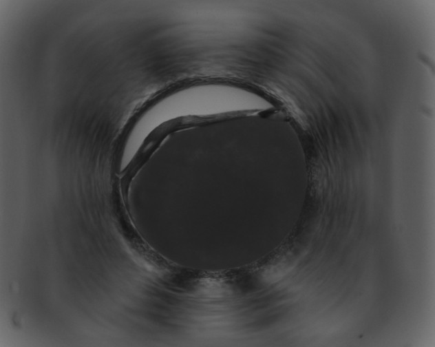 X0000093140496200710171332