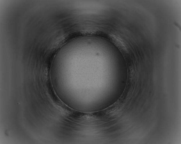 X0000093140498200710171332