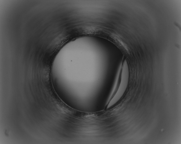 X0000093140505200710171332