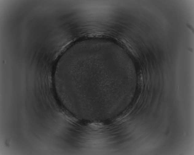 X0000093140508200710171332