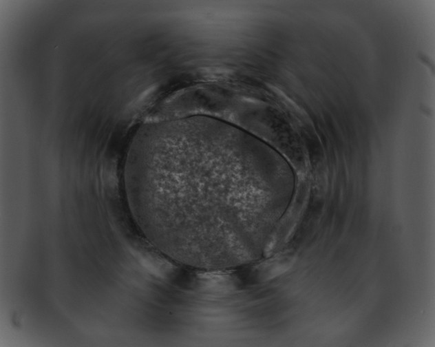 X0000093140516200710171332