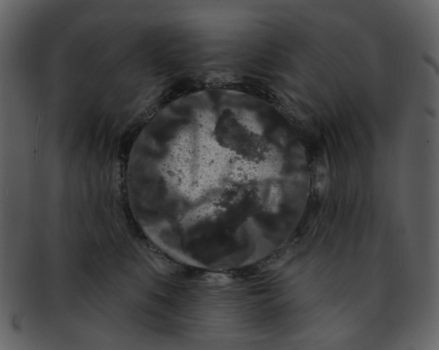 X0000093140519200710171332