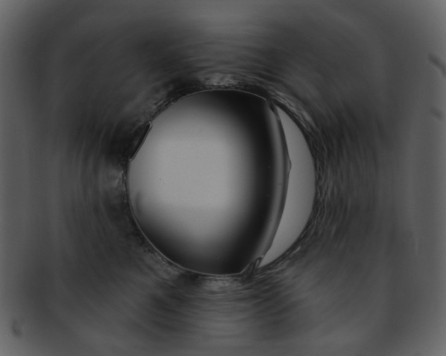 X0000093140521200710171332