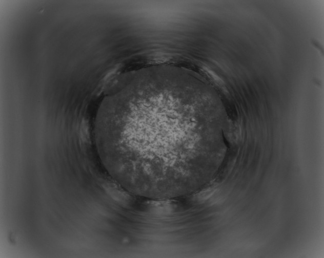 X0000093140524200710171332