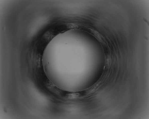 X0000093140525200710171332