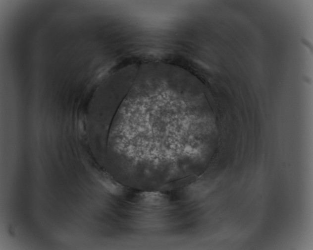 X0000093140528200710171332