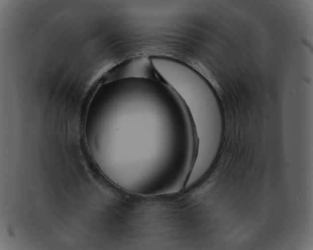 X0000093140530200710171331