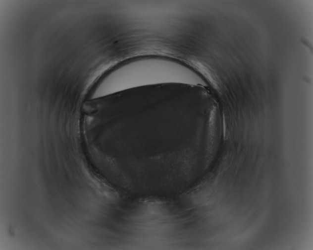 X0000093140531200710171331