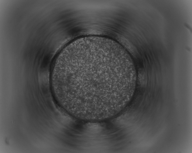 X0000093140534200710171331