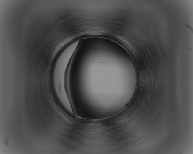 X0000093140535200710171331