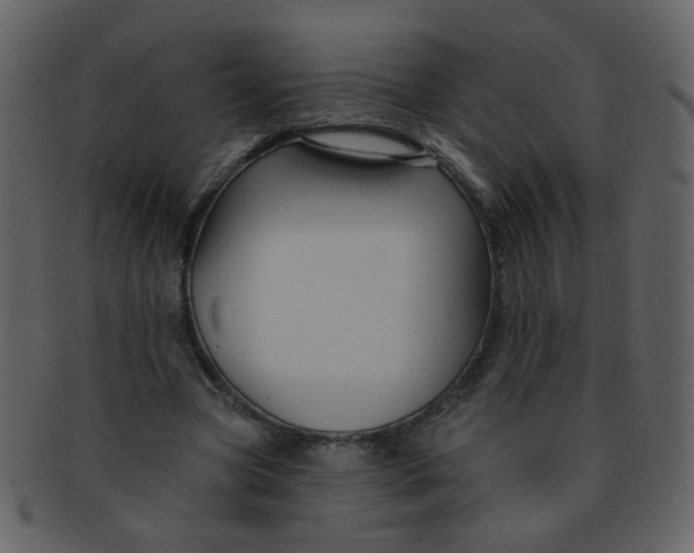 X0000093140537200710171331