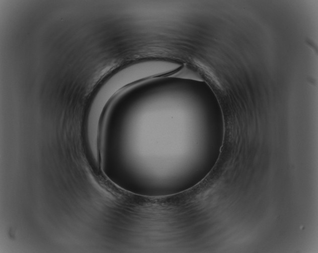 X0000093140538200710171331