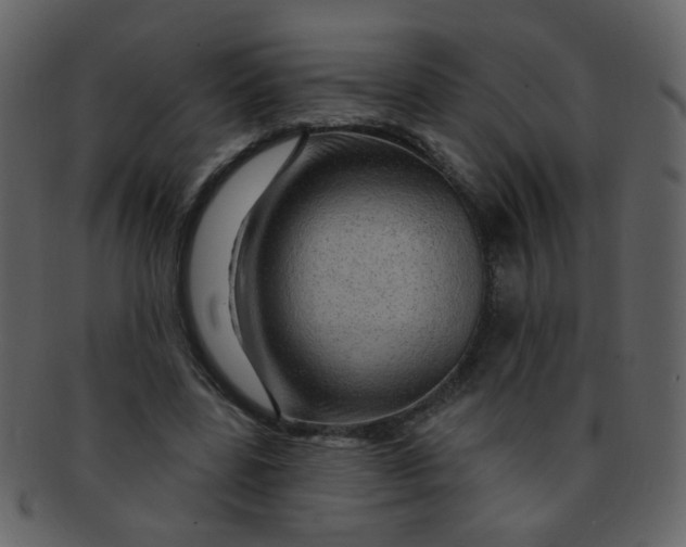 X0000093140539200710171331