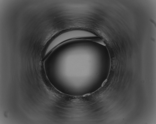 X0000093140544200710171331