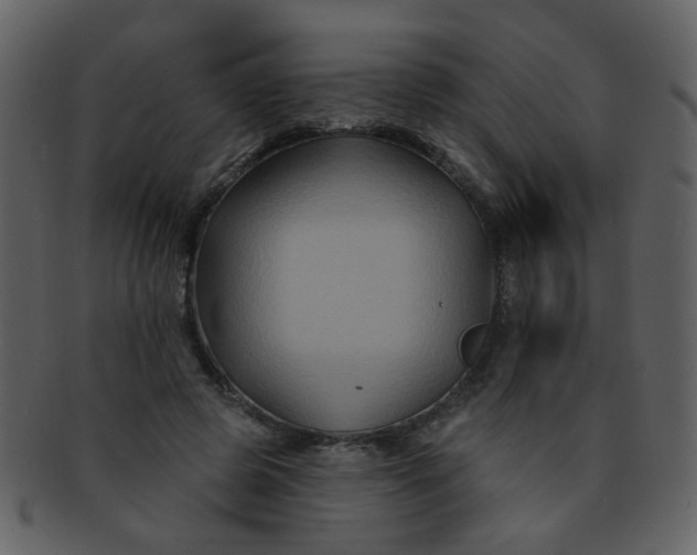 X0000093140545200710171331