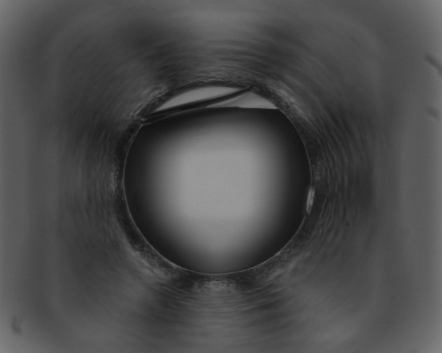 X0000093140546200710171331