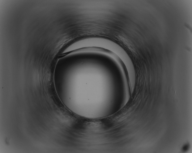 X0000093140548200710171331