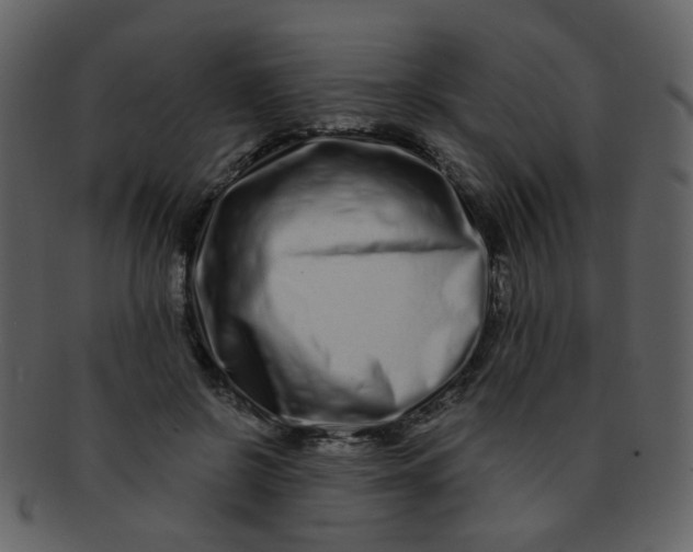 X0000093140550200710171331