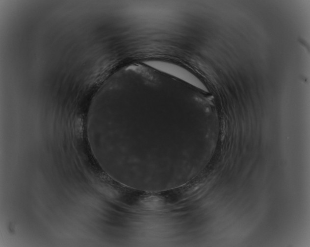 X0000093140551200710171331