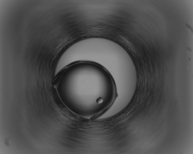 X0000093140552200710171331