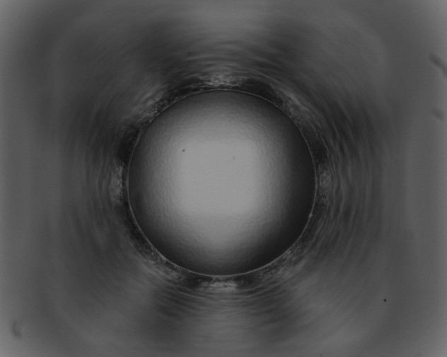 X0000093140554200710171331