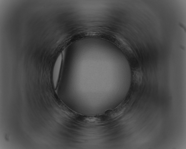 X0000093140557200710171331