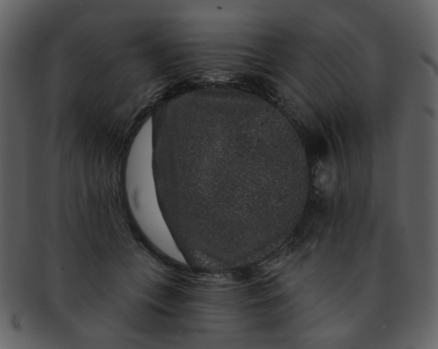 X0000093140559200710171331