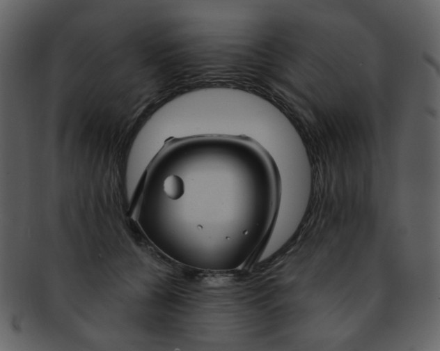 X0000093140560200710171331