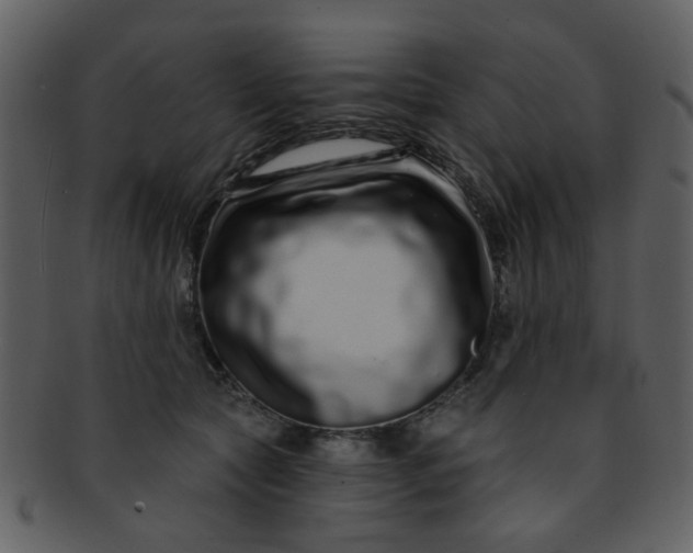 X0000093140561200710171331