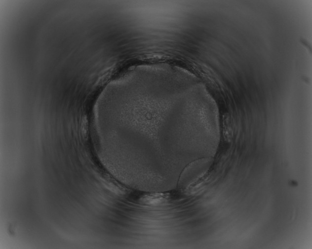 X0000093140563200710171331