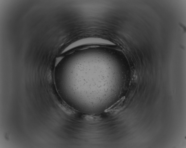 X0000093140568200710171331