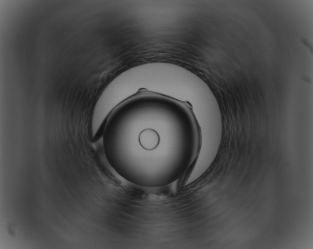 X0000093140570200710171331