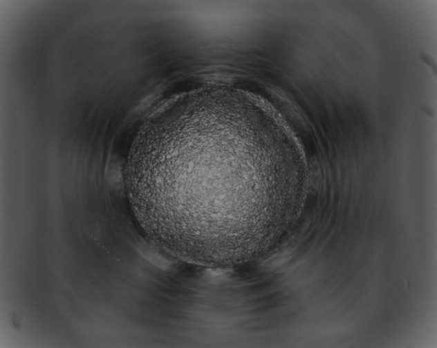 X0000093140573200710171331