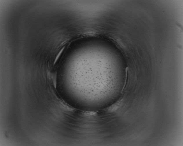 X0000093140576200710171332