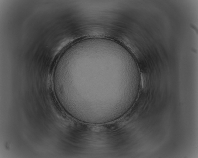 X0000093140579200710171331