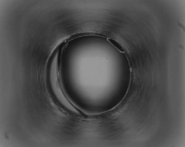 X0000093140580200710171331