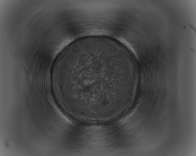 X0000093140581200710171331