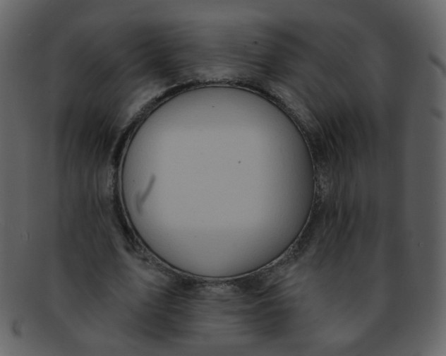 X0000093140583200710171331