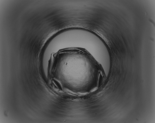 X0000093140584200710171331