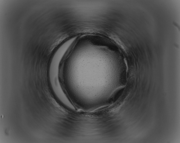 X0000093140585200710171331