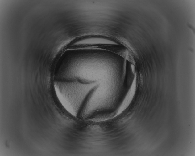 X0000093140588200710171331