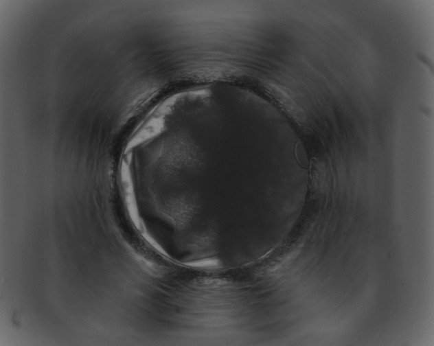 X0000093140590200710171331