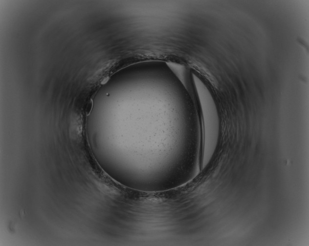 X0000093140593200710171331