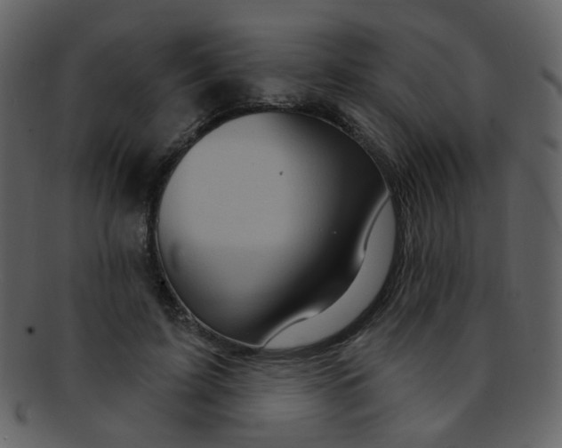 X0000093140595200710171331